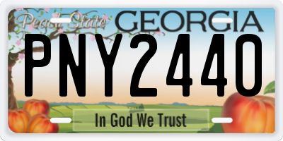 GA license plate PNY2440