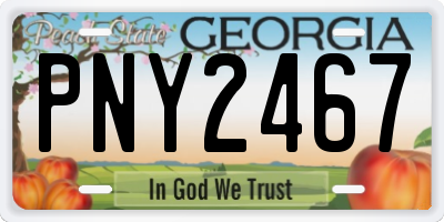 GA license plate PNY2467