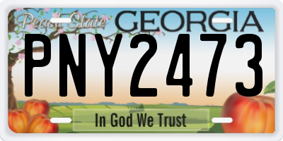 GA license plate PNY2473