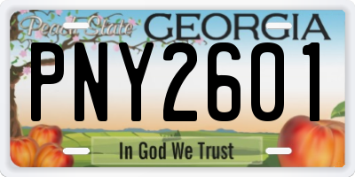 GA license plate PNY2601