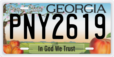 GA license plate PNY2619