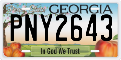 GA license plate PNY2643