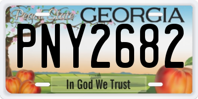 GA license plate PNY2682