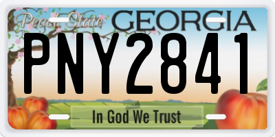 GA license plate PNY2841