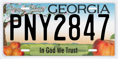 GA license plate PNY2847