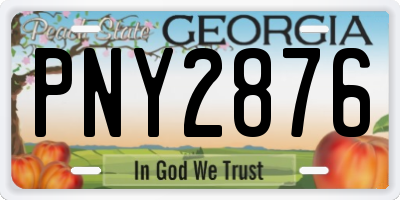 GA license plate PNY2876