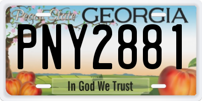 GA license plate PNY2881