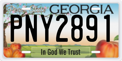 GA license plate PNY2891