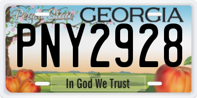 GA license plate PNY2928