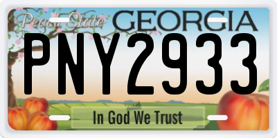 GA license plate PNY2933