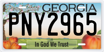 GA license plate PNY2965