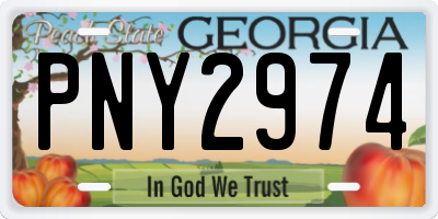 GA license plate PNY2974