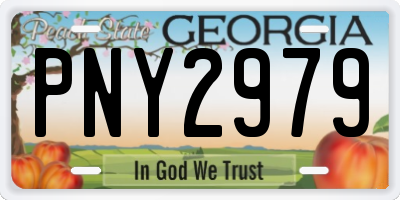 GA license plate PNY2979