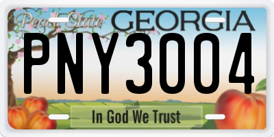 GA license plate PNY3004