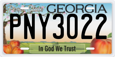 GA license plate PNY3022