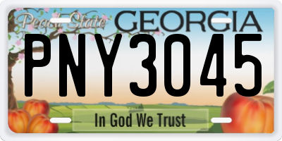 GA license plate PNY3045