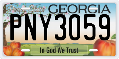 GA license plate PNY3059