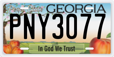 GA license plate PNY3077