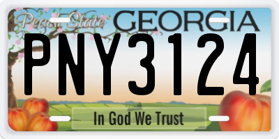 GA license plate PNY3124
