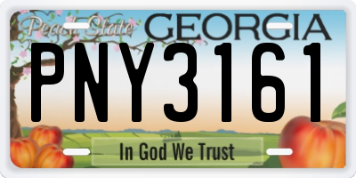GA license plate PNY3161