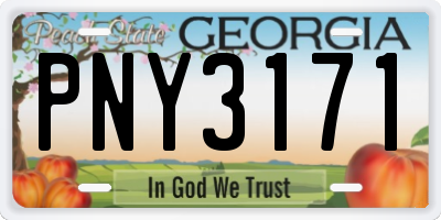 GA license plate PNY3171