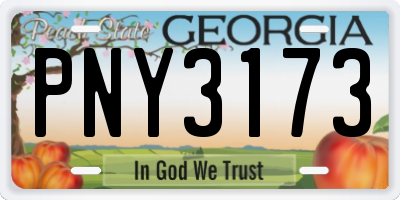 GA license plate PNY3173