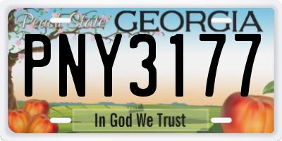 GA license plate PNY3177