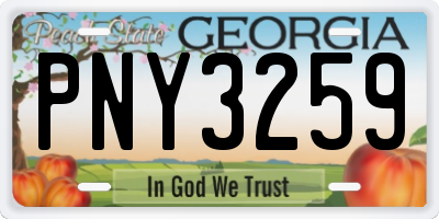 GA license plate PNY3259