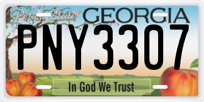 GA license plate PNY3307