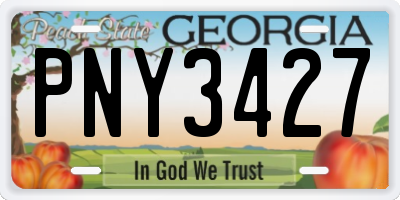 GA license plate PNY3427