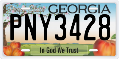 GA license plate PNY3428