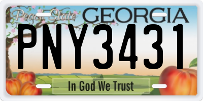 GA license plate PNY3431