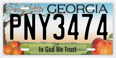 GA license plate PNY3474