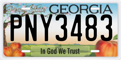 GA license plate PNY3483