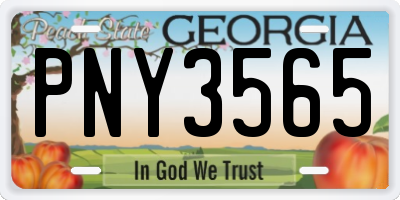 GA license plate PNY3565