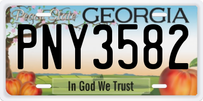 GA license plate PNY3582