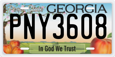 GA license plate PNY3608