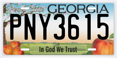 GA license plate PNY3615