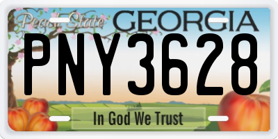 GA license plate PNY3628