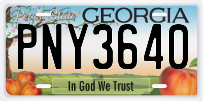 GA license plate PNY3640