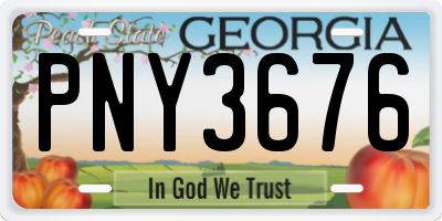 GA license plate PNY3676