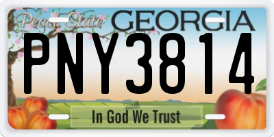 GA license plate PNY3814