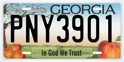 GA license plate PNY3901