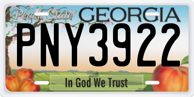 GA license plate PNY3922