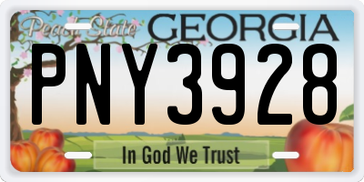 GA license plate PNY3928