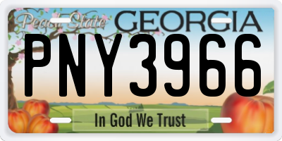 GA license plate PNY3966