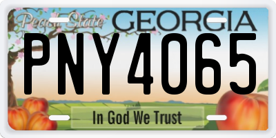 GA license plate PNY4065