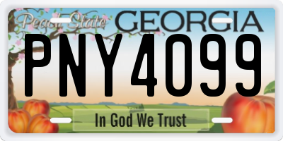 GA license plate PNY4099