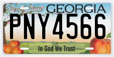 GA license plate PNY4566