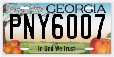 GA license plate PNY6007